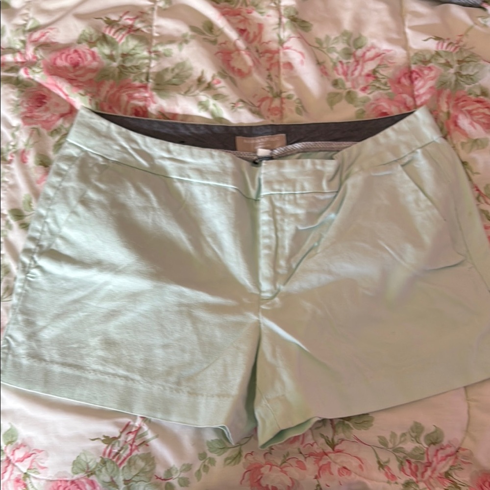Banana Republic Mint Green Women's Shorts - Picture 1 of 2